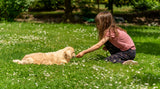 Ein kleines Mädchen spielt im Gras mit einem Hundewelpen der adoptiert wurde.