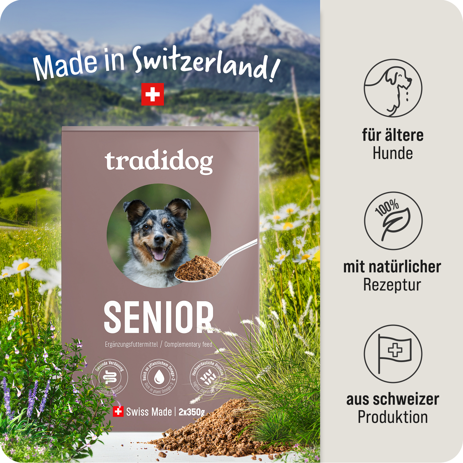 Löwen Deal - SENIOR