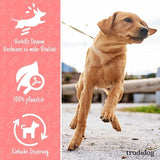 BOOST supplement for active dogs, shown with a leashed dog jumping outdoors. Designed for improved endurance and recovery, enhancing health and vitality.