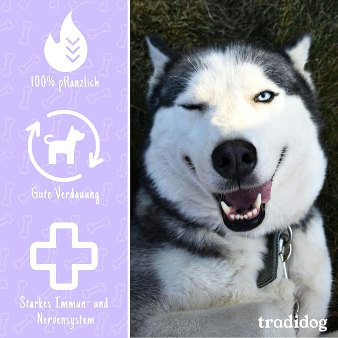 Dog lying on grass with eyes closed, next to a sign, promoting tradidog® Sensitive supplement for enhancing vitality and well-being in sensitive dogs.