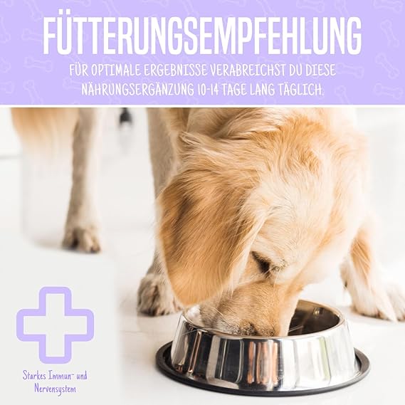 Dog eating from a bowl, promoting tradidog® Sensitive, a supplemental food designed to enhance the vitality and well-being of sensitive dogs.